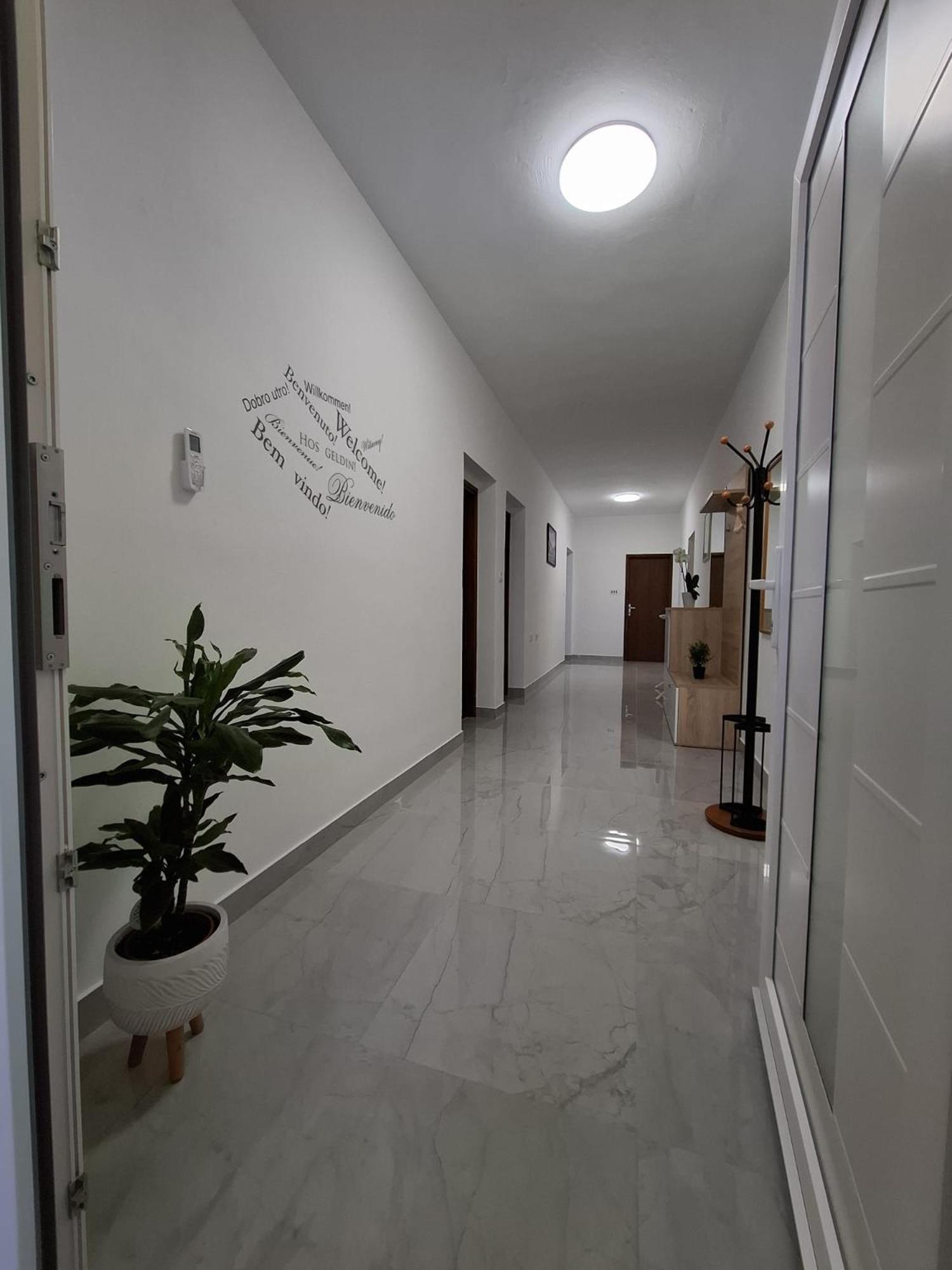 Ivkovic Apartment *